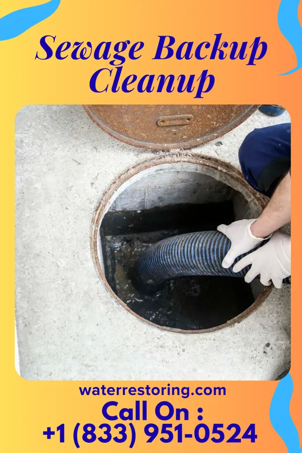 Sewage Backup Cleanup in Millington, TN