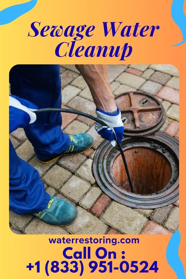Sewage Water Cleanup in Millington, TN