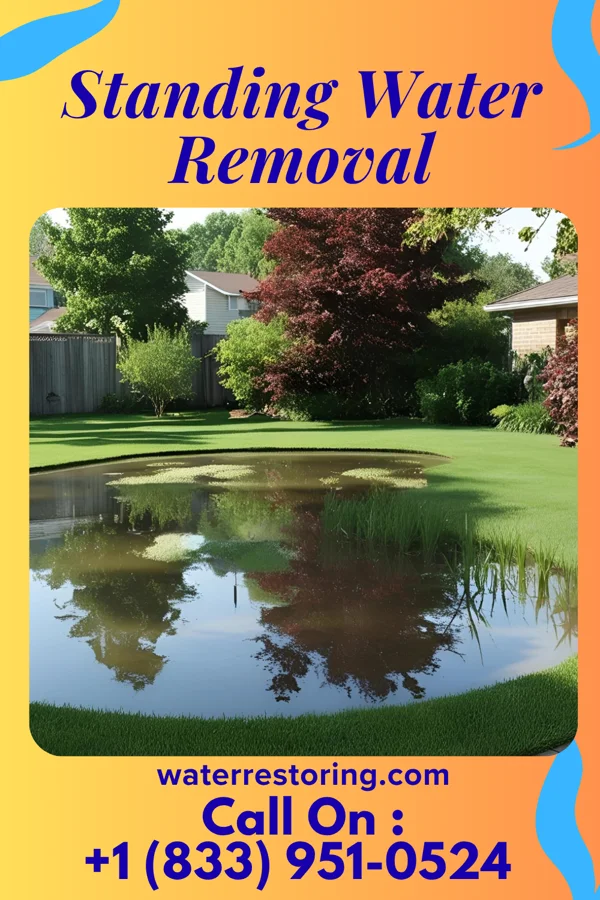 Standing Water Removal in Millington, TN